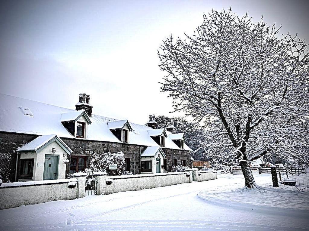 Rosemount Bothy - Highland Cottage Garve Exterior foto